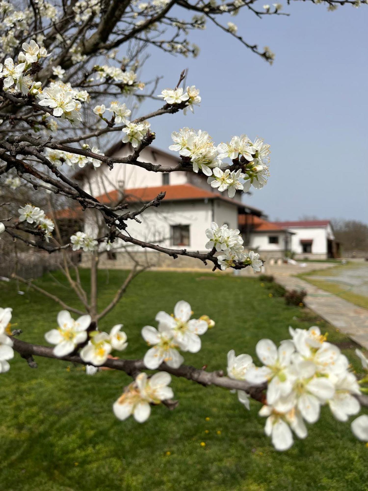 Kesta Za Gosti Melnitsata Hotel Elhovo  Exterior foto